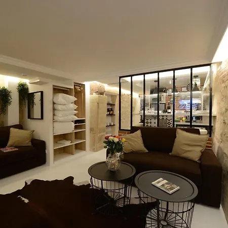 Loft Basfour-paris Centre Equipe Avec Sauna!-paris 4e * Παρίσι